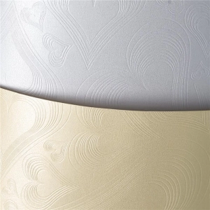 Papier ozdobny karton GALERIA PAPIERU A4 220g. op.20 - love diamentowa biel