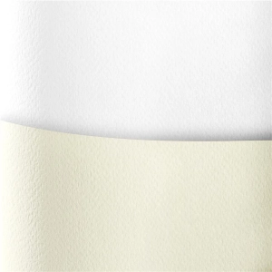 Papier ozdobny karton GALERIA PAPIERU A4 200g. op.20 - sawanna biały