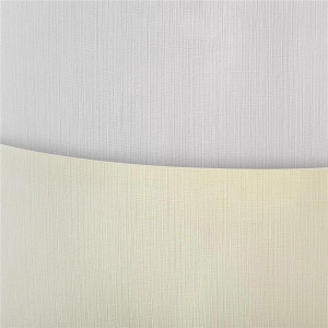 Papier ozdobny karton GALERIA PAPIERU A3 250g. op.50 - płótno białe