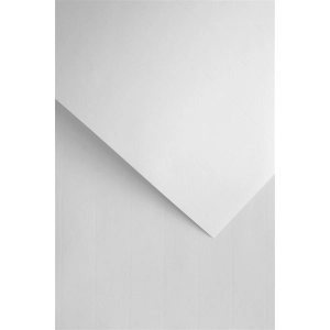 Papier ozdobny GALERIA PAPIERU A4 110g. op.50 - laid biały