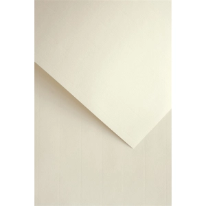 Papier ozdobny GALERIA PAPIERU A4 110g. op.50 - leid beżowy