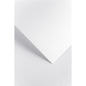 Papier ozdobny karton GALERIA PAPIERU A4 220g. op.20 - len biały
