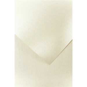 Papier ozdobny karton GALERIA PAPIERU A4 200g. op.20 - holland kremowy
