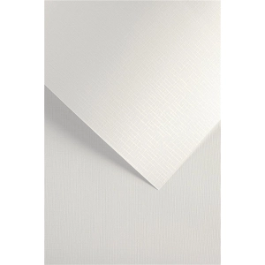 Papier ozdobny karton GALERIA PAPIERU A4 230g. op.20 - sukno biały