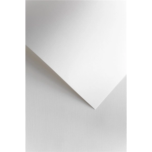 Papier ozdobny karton GALERIA PAPIERU A4 240g. op.20 - płótno białe