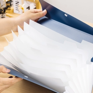 Teczka ofertowa DELI Linfini EF606 Expanding File A4-8P-283769