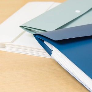 Teczka ofertowa DELI Linfini EF606 Expanding File A4-8P-283770