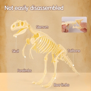 Zestaw do wykopalisk archeologicznych DELI EH769 - Tyranozaur-283822