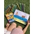 Flamastry BIC KID COULEUR 20+4 fluo 921360-284949