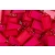 Zawieszka do kluczy Q-CONNECT 55x30mm 40 szt. - czerwone-285266