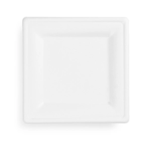 Talerz jednorazowy z trzciny cukrowej 16x16cm op.50 - biały