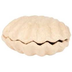 Pudełko w kształcie muszli 12 x 12 x 5 cm BT078 C, Decopatch