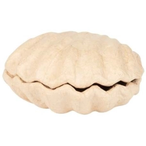 Pudełko w kształcie muszli 12 x 12 x 5 cm BT078 C, Decopatch