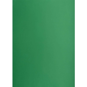 Brystol karton OXFORD Creatino B2 225g. (1 ARKUSZ) - zielony ciemny nr.63-289444
