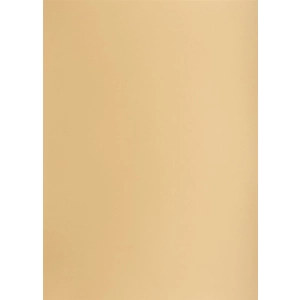 Brystol karton OXFORD Creatino A2 160g. (1 ARKUSZ) - brązowy jasny nr.16-289463