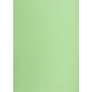 Brystol karton OXFORD Creatino B2 225g. (1 ARKUSZ) - groszkowy nr.69-289490