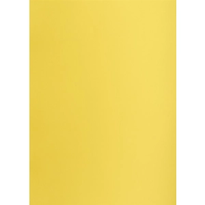 Brystol karton OXFORD Creatino A2 160g. (1 ARKUSZ) - żółty nr.57-289524