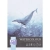 Blok do akwareli OXFORD Artistic A4 20 kartek 300g.-289936