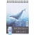 Blok do akwareli OXFORD Artistic na spirali A5 20 kartek 300g.-289951