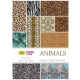 Blok kreatywny zeszyt papierów HAPPY COLOR z motywami - Animals A4 15+1 ark. 80g, 15 motywów