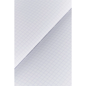 Zeszyt brulion OXFORD A4 96 kartek 90g. Soft Touch - kratka-293470