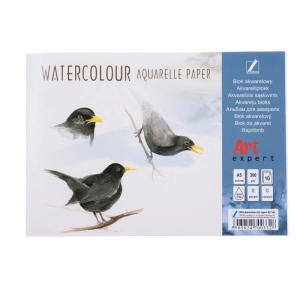 Blok do akwareli KRESKA Art. Expert A5 10 kartek 300g.-296941