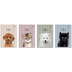 Teczka z gumką INTERDRUK A4 kolorowa - Puppy Sign 390769