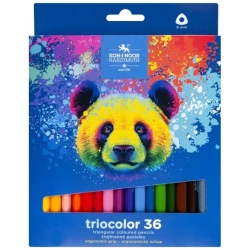 Kredki KOH-I-NOOR 36 kolorów 9mm, Triocolor, Niedźwiedź - seria niebieska