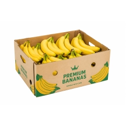 Owoc Banan karton 18kg
