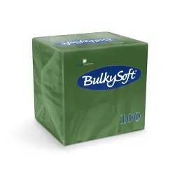 Serwetki BulkySoft 24x24cm op.100 - zielone-562283