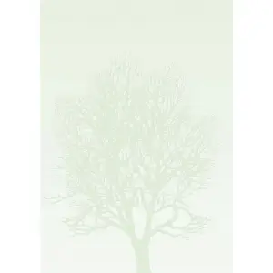 Arkusze barwne GP A4 100g. op.50 - Drzewo-641754
