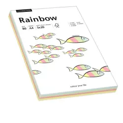 Papier xero A4 kolor RAINBOW - mix kolor pastelowy